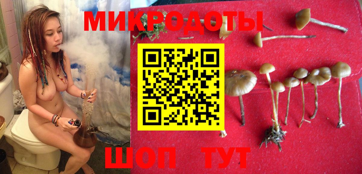 Галлюциногенные грибы Psilocybine cubensis Сорочинск