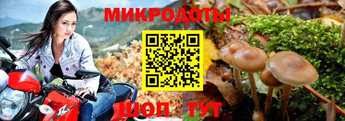 Галлюциногенные грибы GOLDEN TEACHER  Псилоцибиновые грибы GOLDEN TEACHER  Сорочинск  Вход с VPN 